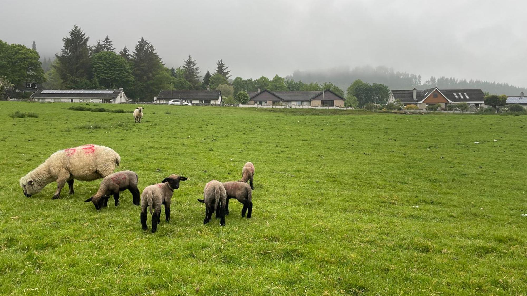 Lewiston Hideaway Pod Near Loch Ness For A Tranquil Retreat 아파트 외부 사진